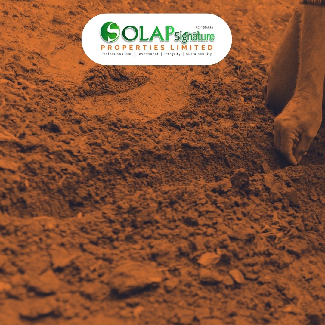 Why Soil Testing Is Your Best Investment Before Building